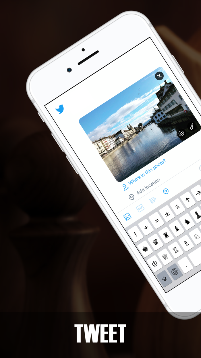 国际象棋键盘：专业