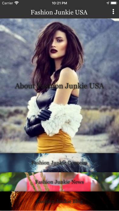 Fashion Junkie USA screenshot 2