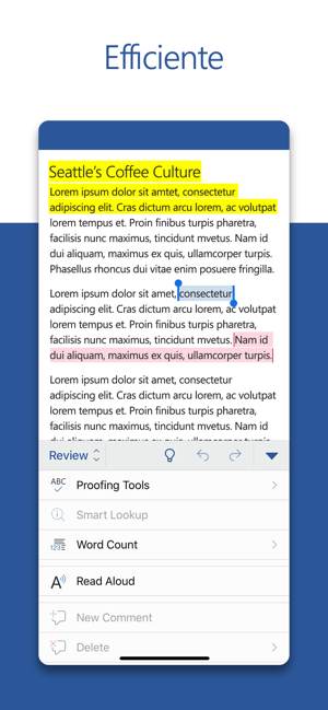 Microsoft Word Su App Store