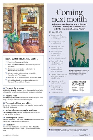 Leisure Painter Magazine screenshot 3