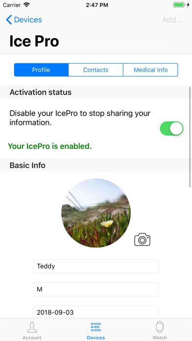 IcePro screenshot 2