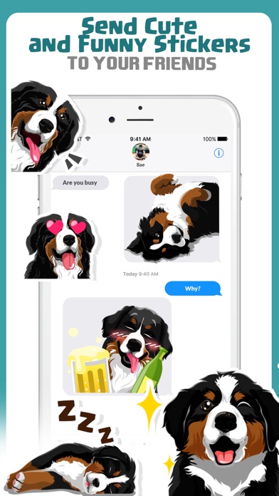 Bernese Mountain Dog Emoji screenshot 4