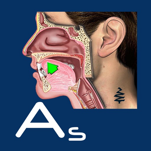 Affricates Stops