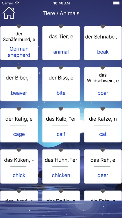 German Vocabulary & Phrase