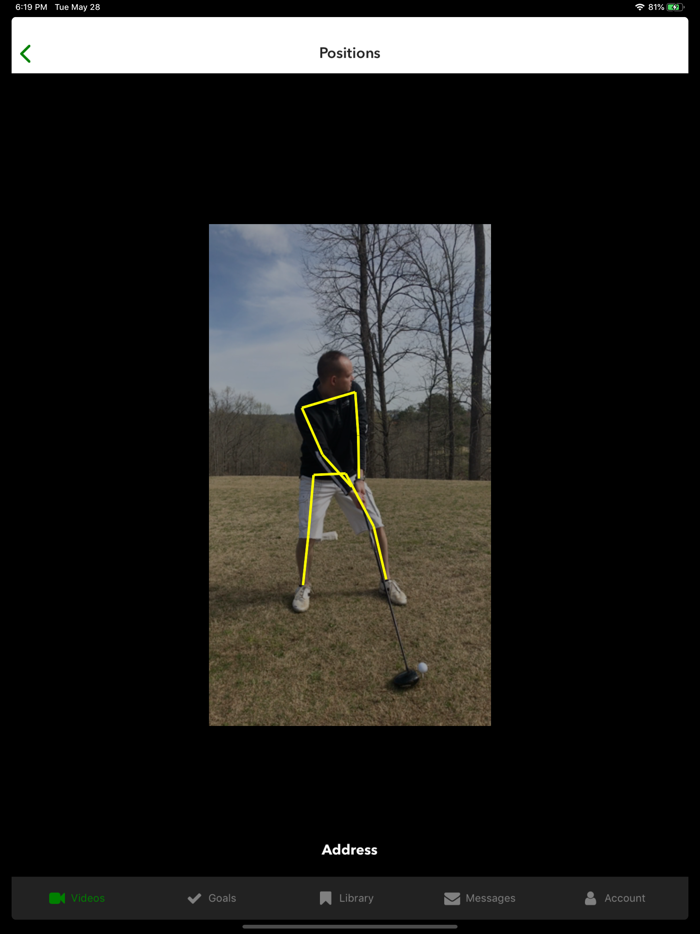 Swingbot Swing Analysis Coach