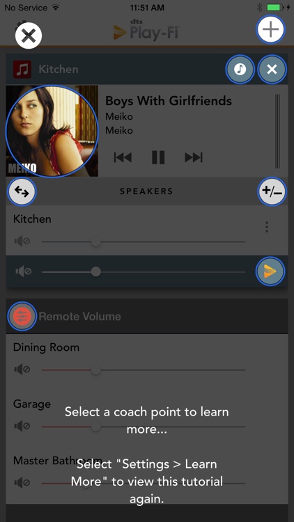 Play-Fi