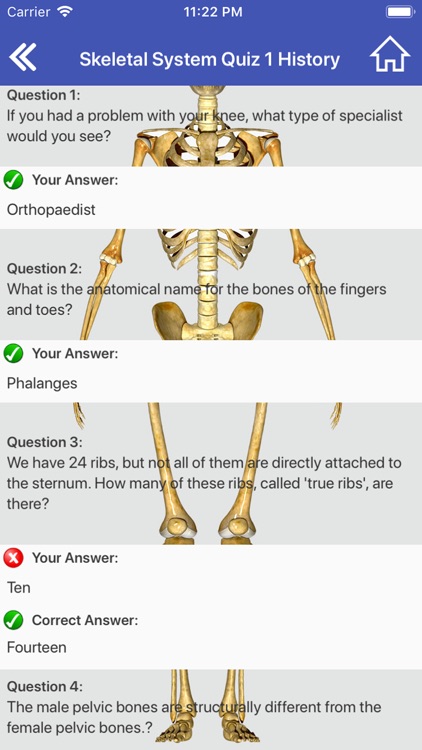 Skeletal System Quiz Trivia screenshot-6