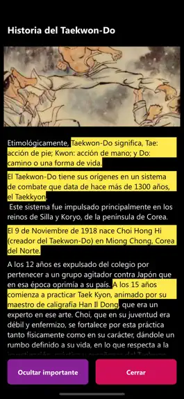 Game screenshot Taekwon-Do ITF apk