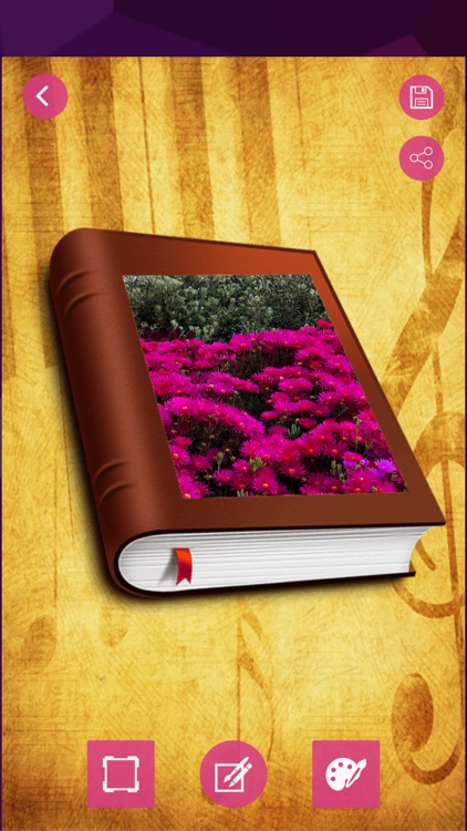 Notebook Photo Editor screenshot-3