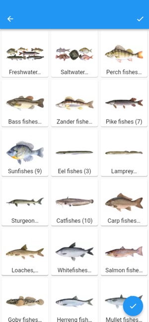 Fish Planet Calendar