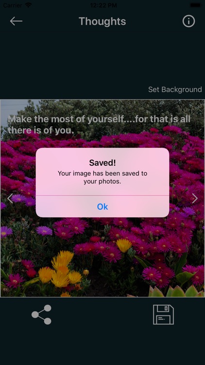 Motivation Thoughts screenshot-6