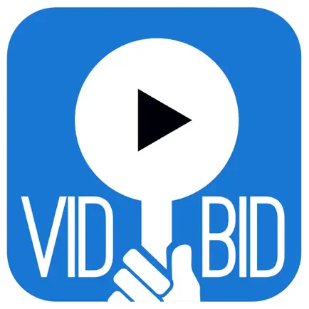 LESA VidBid Читы