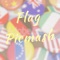 Flag PicSmash is a wonderful app in which users can paste any country flag on their pics , It gives unique vibe to their pics  and show your country spirit 