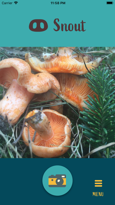 How to cancel & delete Snout: Mushroom Identification from iphone & ipad 2