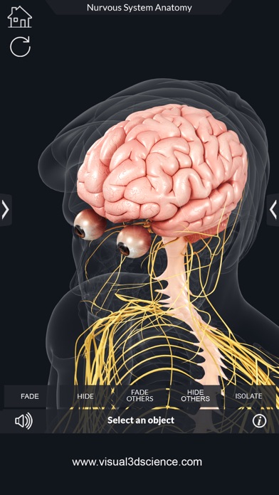 My Nervous System Anatomy screenshot 3