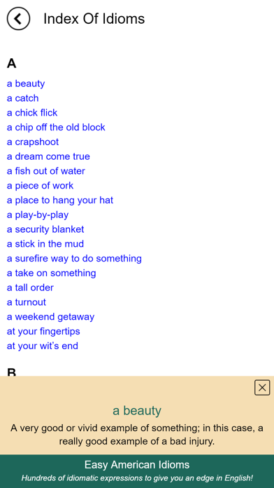 Easy American Idioms screenshot 4