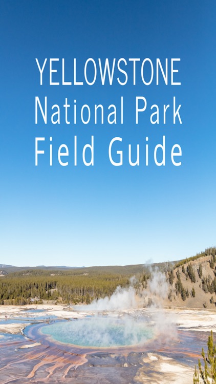 Yellowstone NP Field Guide