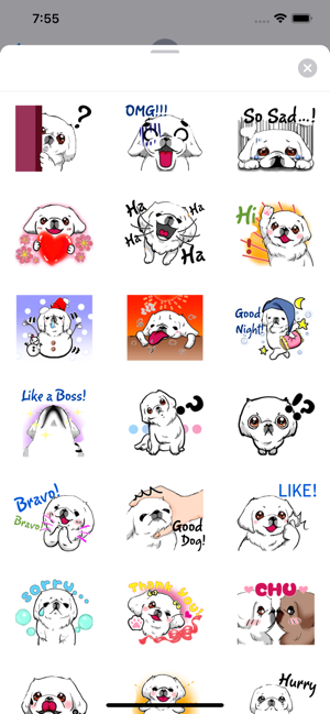 Cute Pekingese Dog Peke Emoji(圖2)-速報App