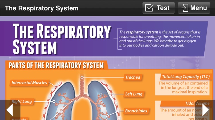 Physical Education GCSE screenshot-6