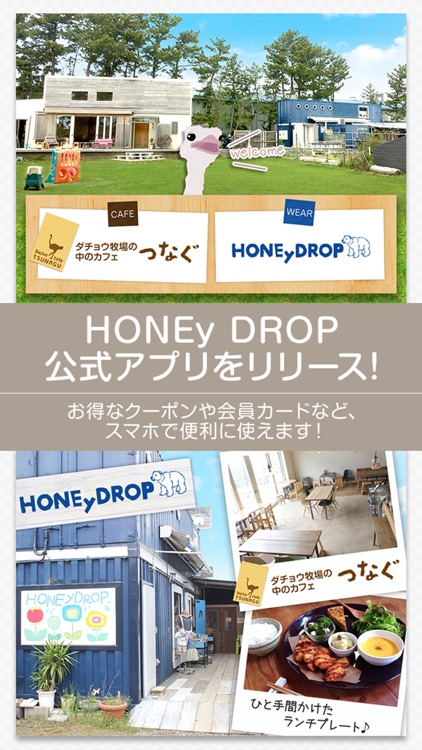 静波 Honeydrop カフェつなぐ By Chisato Hiratsuka