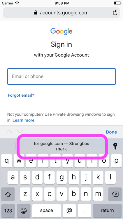 Strongbox Password Safe