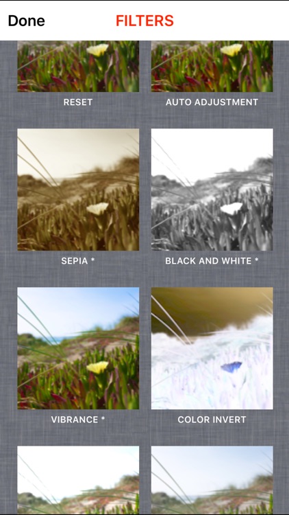 Camera with Filters