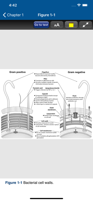 Deja Review Microbio/Immun. 3E(圖5)-速報App