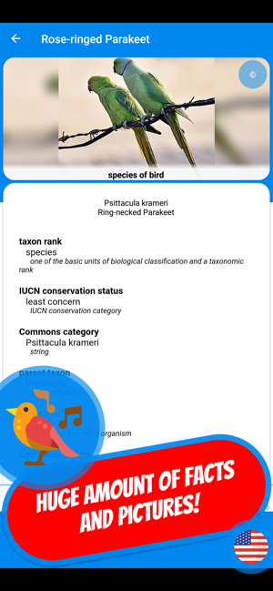 BIRDS & ORNITHOLOGY Quiz(圖5)-速報App