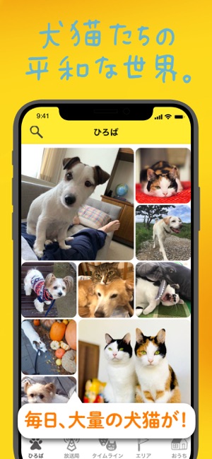 飼ってる犬 猫も 街中で見かけた子も 犬 猫写真共有アプリ ドコノコ 話題のアプリ紹介 レビューサイト トレジャーアプリ