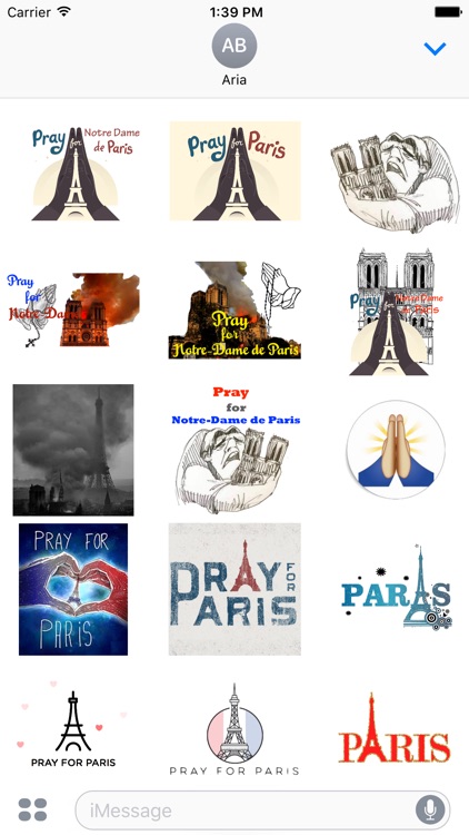 Pray For Notre Dame de Paris