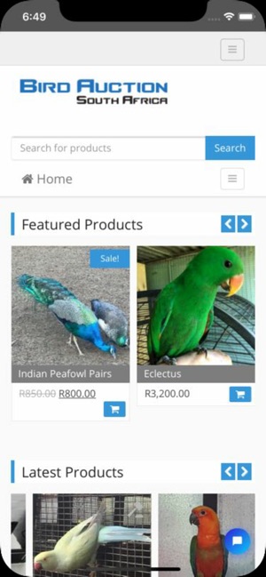 Bird Auction(圖1)-速報App