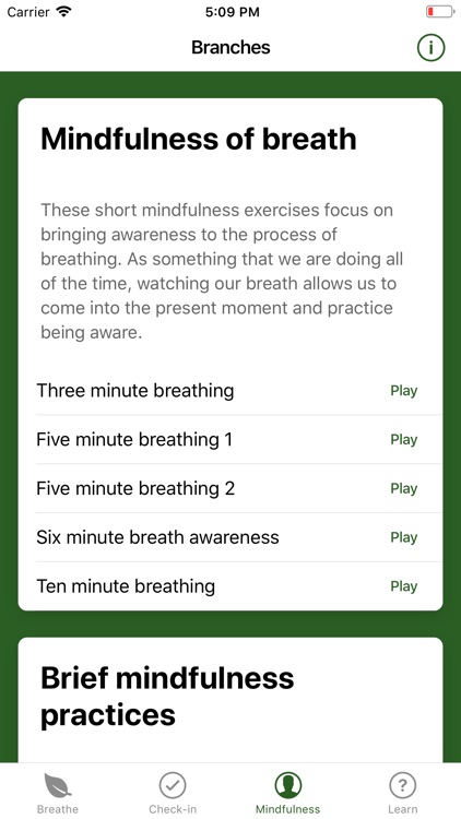 Branches Stress Relief screenshot-3