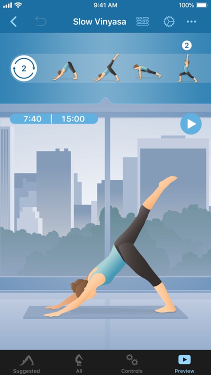 Pocket Yoga Teacher