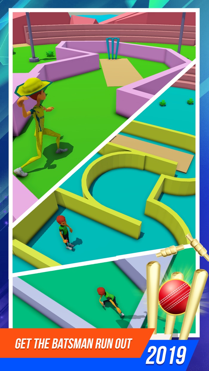 Cricket Run Out Physics Game