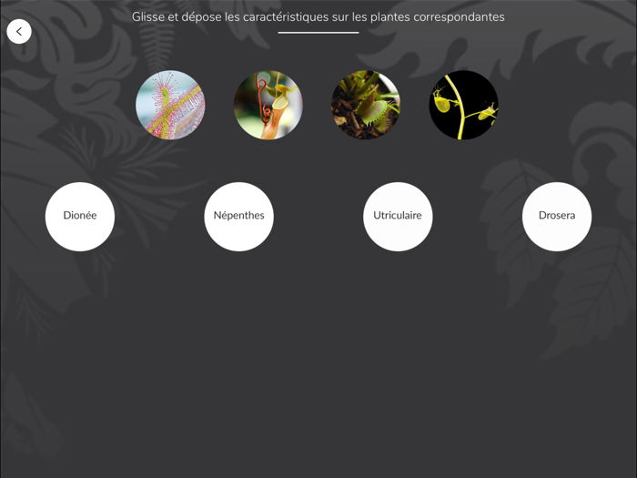 Jardin Botanique Grand Nancy