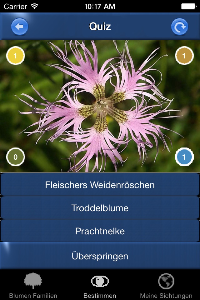 Alpenblumen Id Automatik screenshot 4