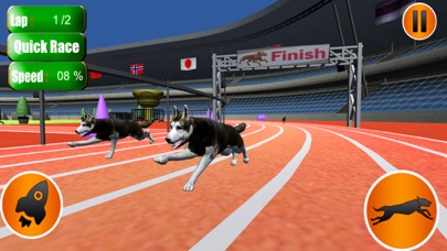 Dog Crazy Race Simulator 2023 screenshot 2