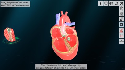 How to cancel & delete Heart - An incredible pump from iphone & ipad 4