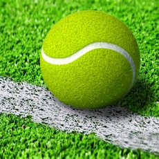 Activities of Ace of Tennis