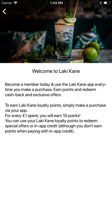 Laki Kane screenshot 4