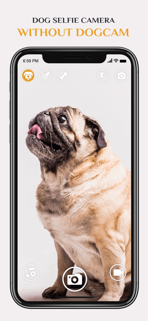 Dog Selfie Camera(圖3)-速報App