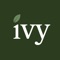 Ivy Offices