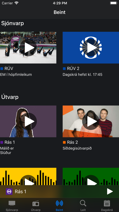 RÚV screenshot 3