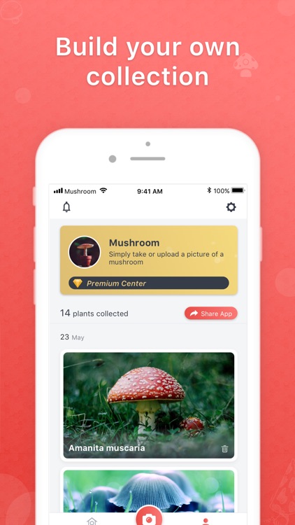 Picture Mushroom - Mushroom ID screenshot-3