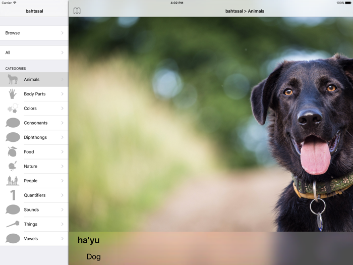 bahtssal Language - Intro