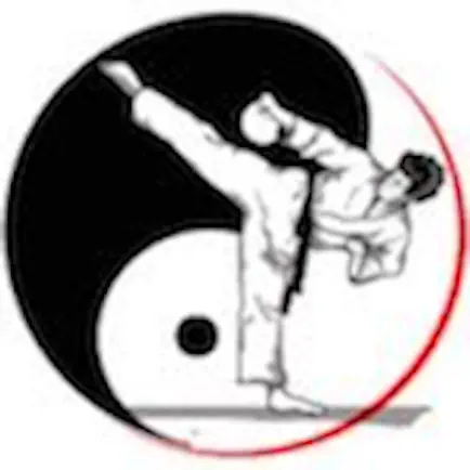 Success Martial Arts Читы