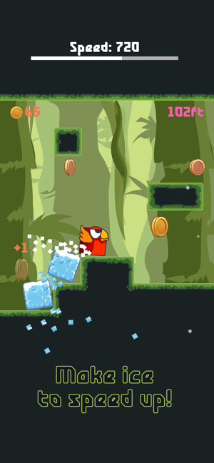 Bird Watch Game: learn to flap(圖2)-速報App