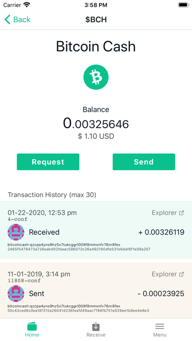 Badger Wallet by Bitcoin.com screenshot 3