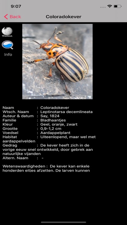 Insecten