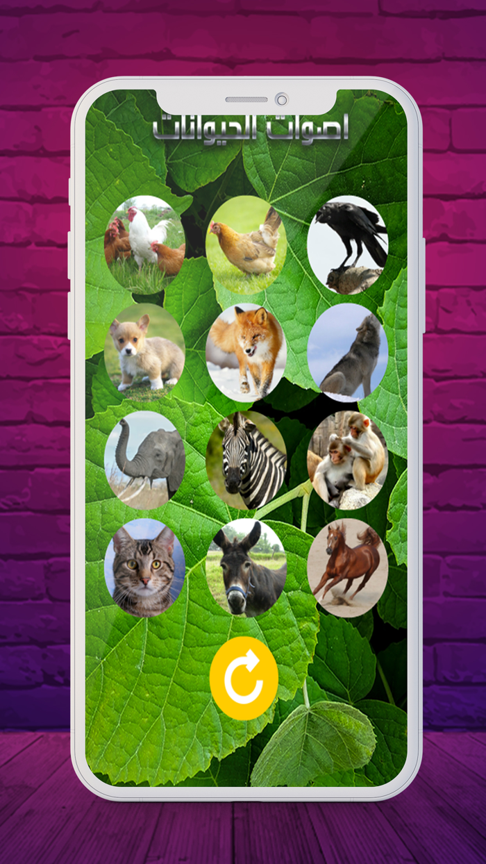 2020 اصوات الحيوانات